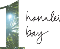 1Hotels Logo Hanalei Bay